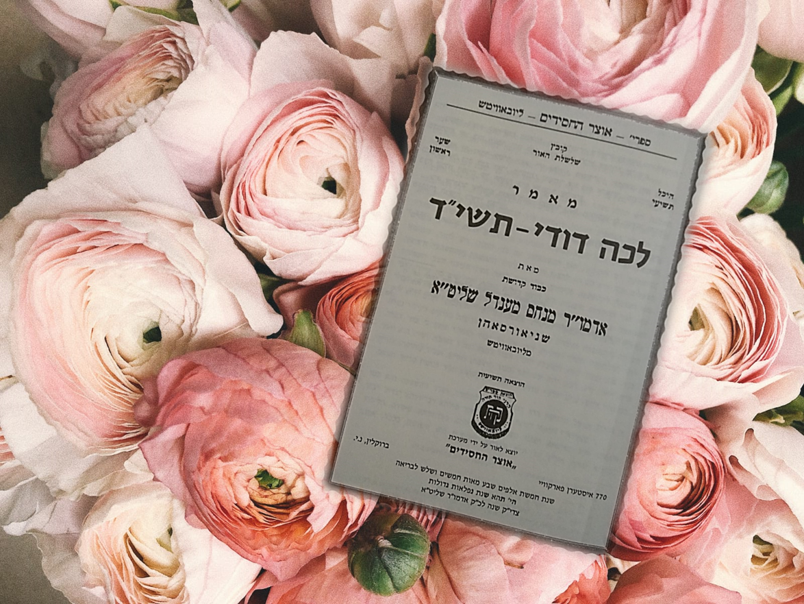 Read more about the article הכנה מסוג אחר: קבוצת הכלות הראשונה במפגשי לימוד המאמר